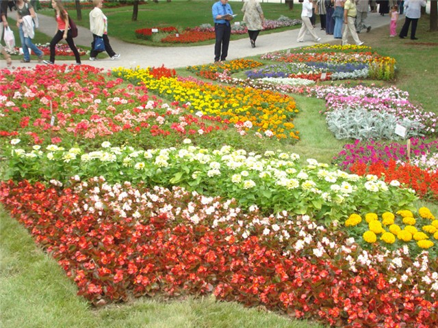 Flora Art Zagreb